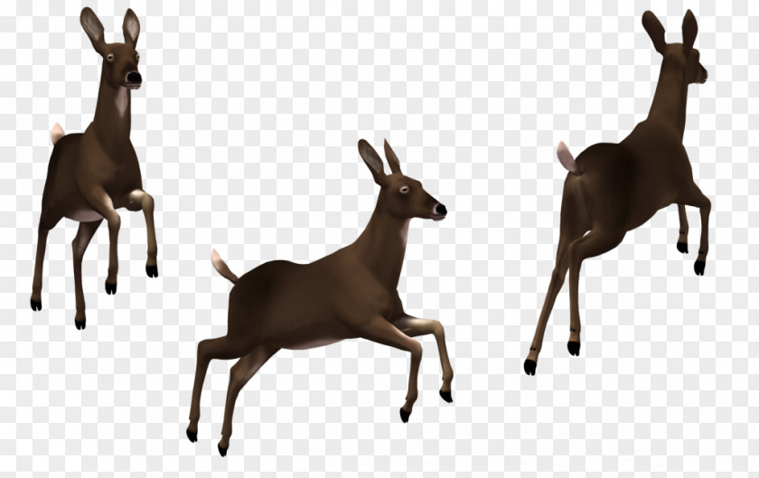 Free Deer Pictures Clip Art PNG