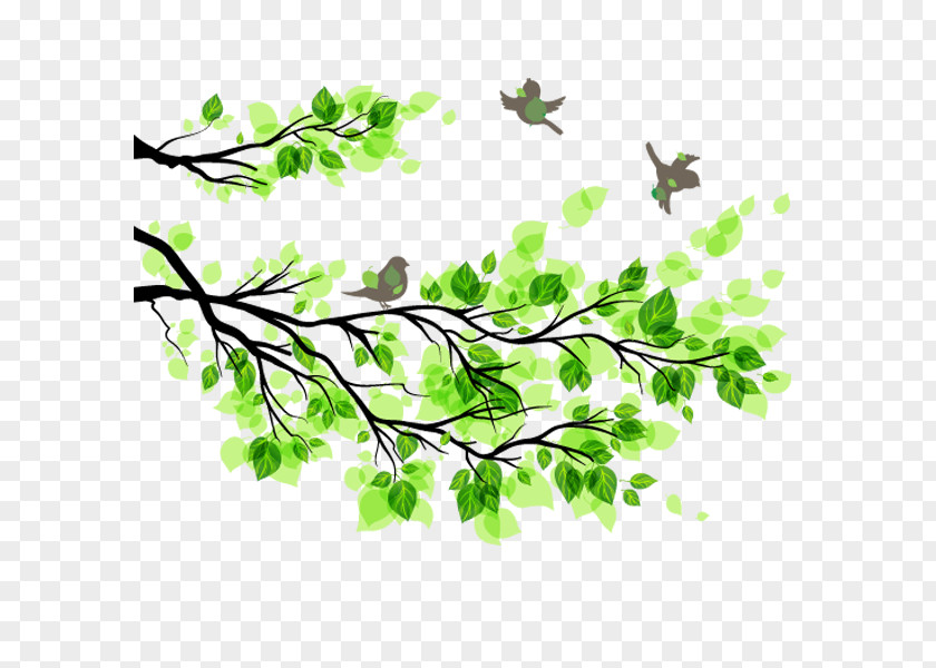 Tree Branches Green Leaf Bird Spring Material Branch Illustration PNG