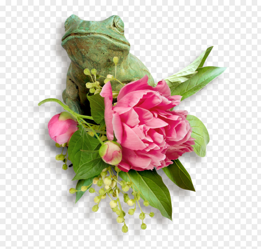 Wsu Flyer Cabbage Rose Centerblog Garden Roses Cut Flowers Floral Design PNG