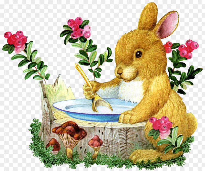 Bunny Animation 4images PNG