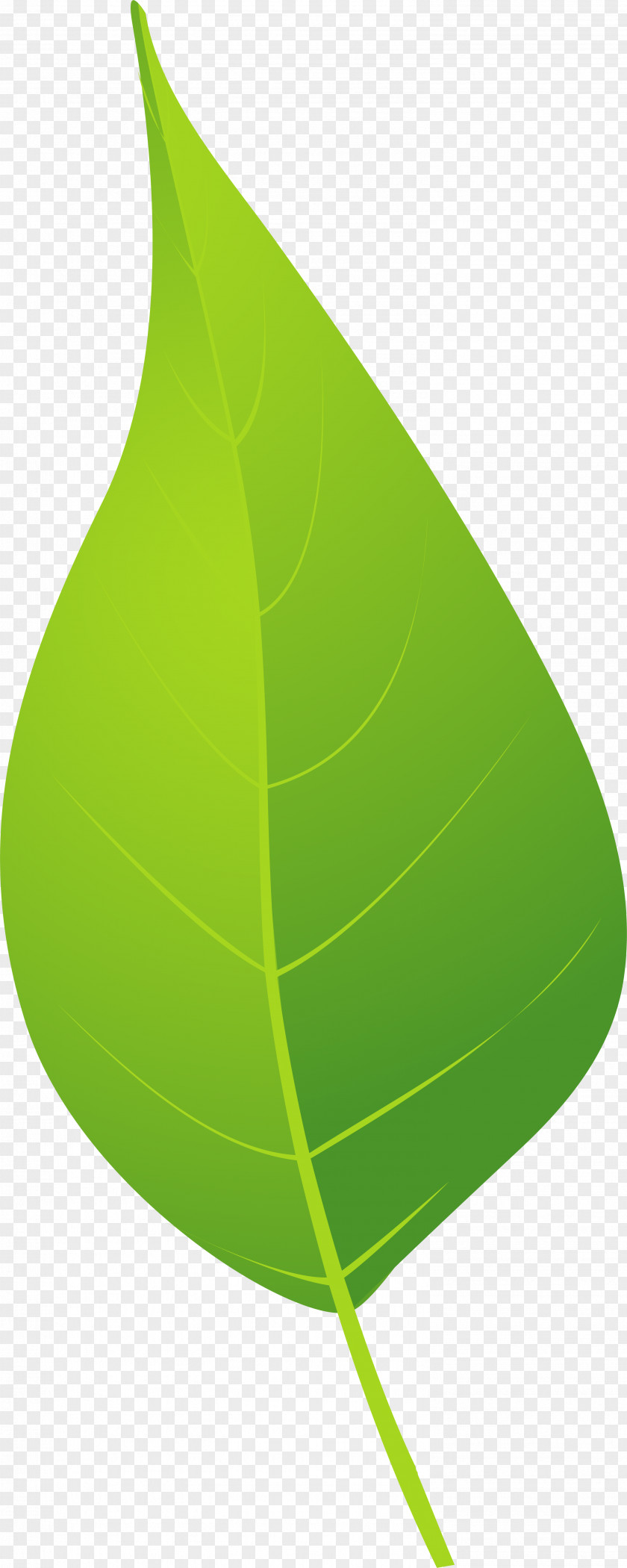 Green And Fresh Leaves Google Images Brown PNG