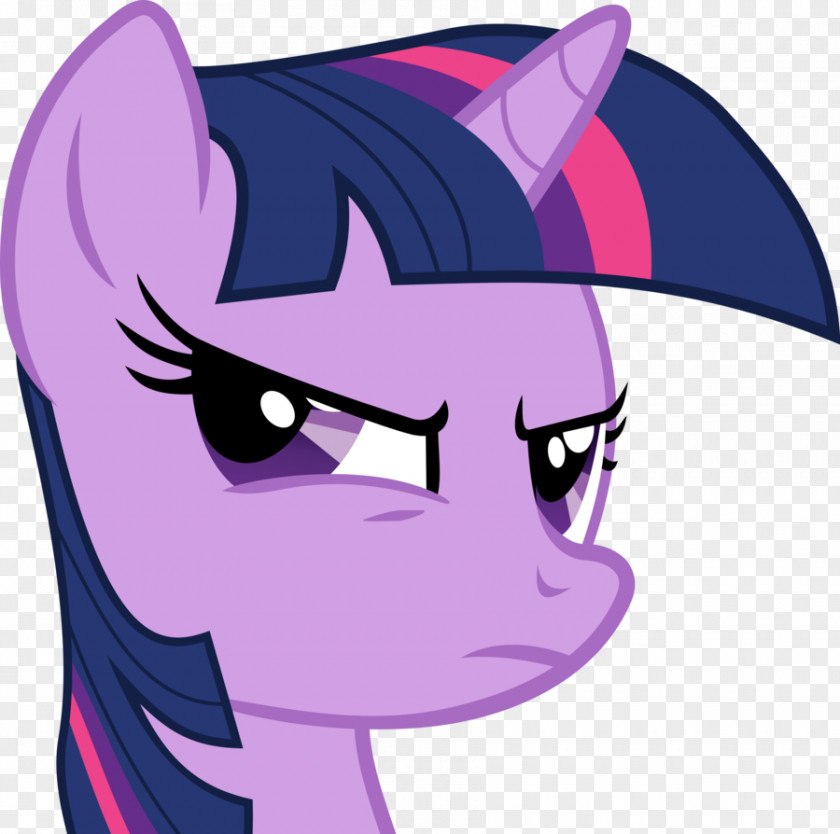 My Little Pony Twilight Sparkle Pinkie Pie Rarity Rainbow Dash PNG