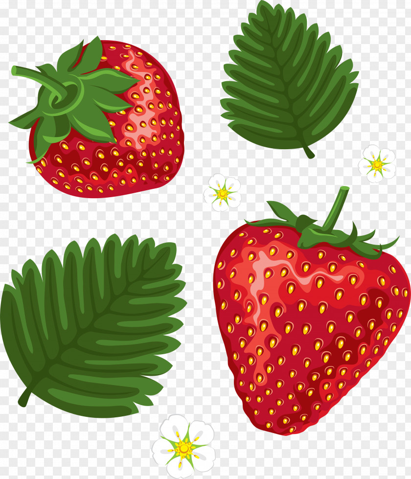 Strawberry Images Cake Shortcake Clip Art PNG