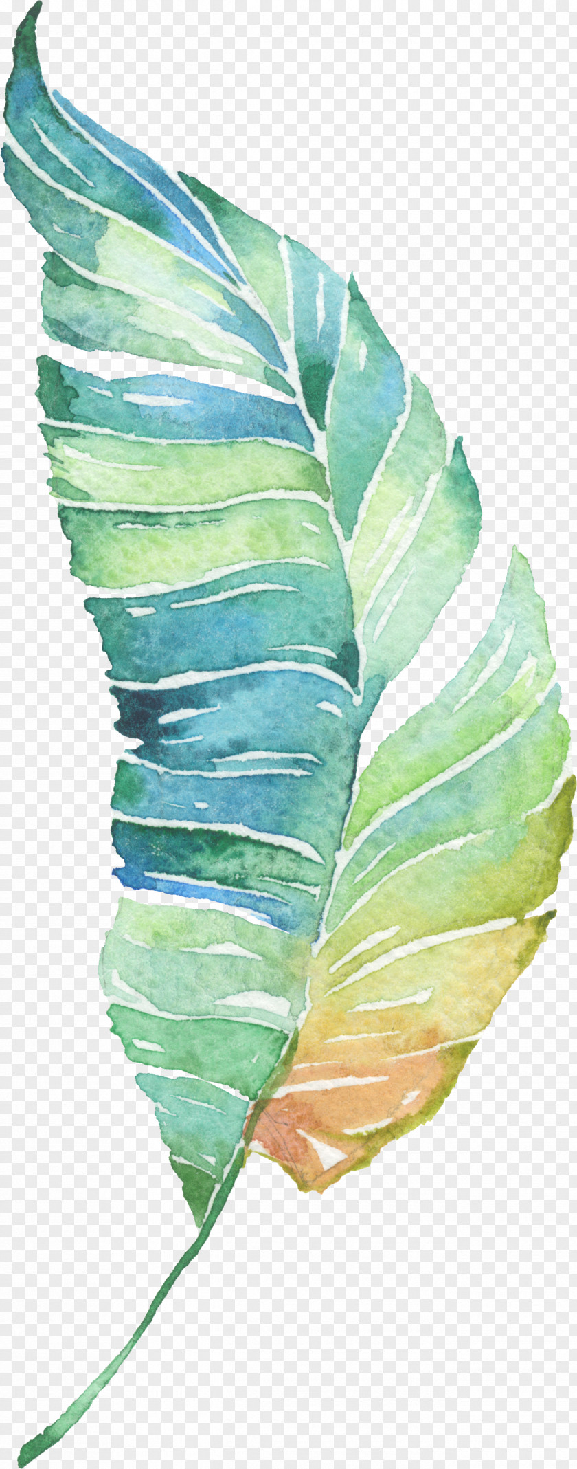 Water Painted Green Leaves PNG
