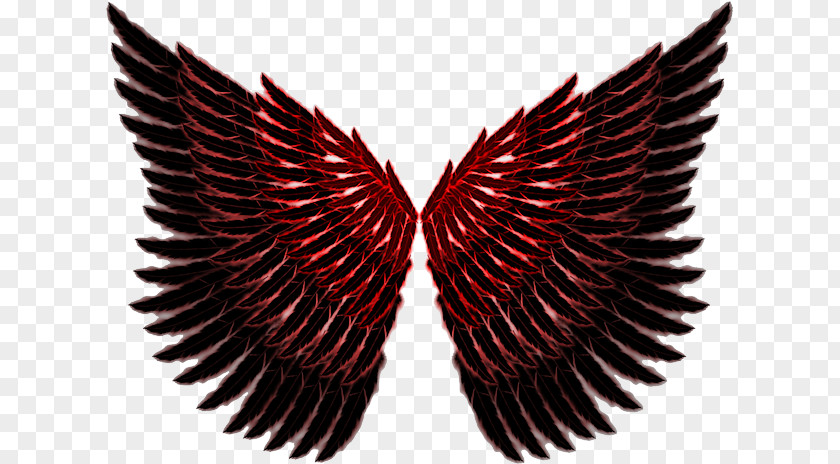 Wing Angel Clip Art PNG