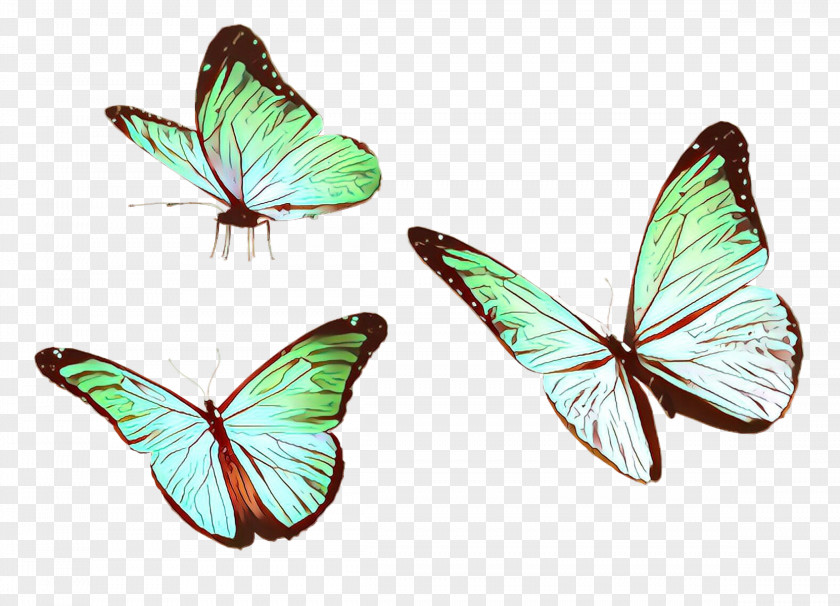 Butterfly Insect Moths And Butterflies Pollinator Wing PNG