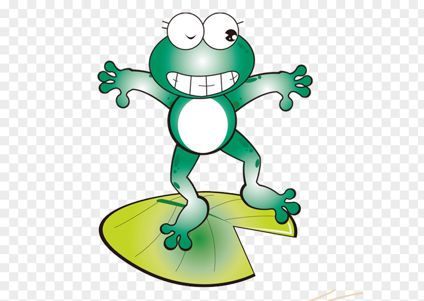 Cartoon Frog Download PNG