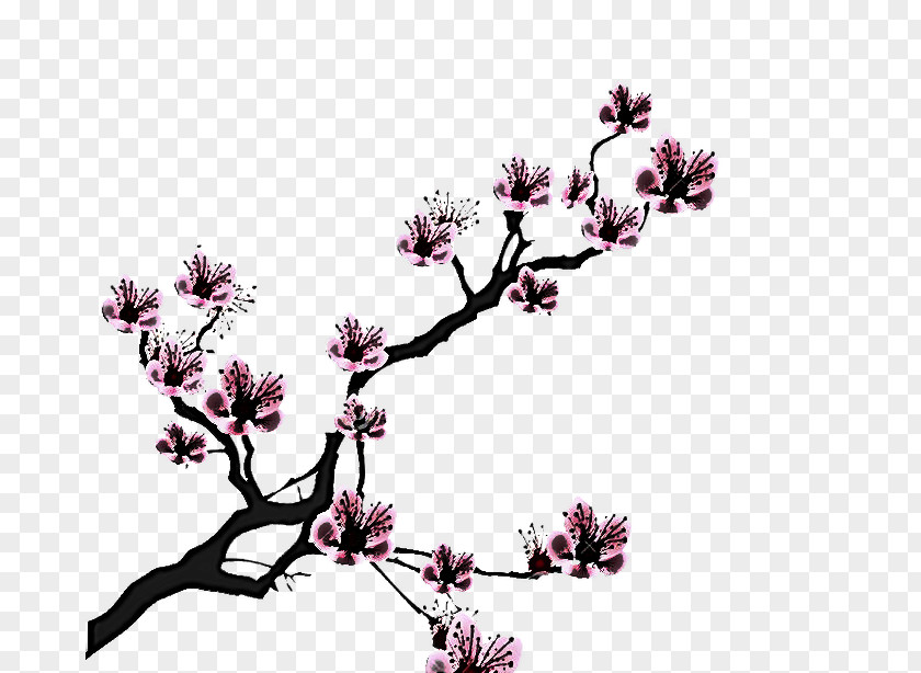 Cherry Blossom PNG