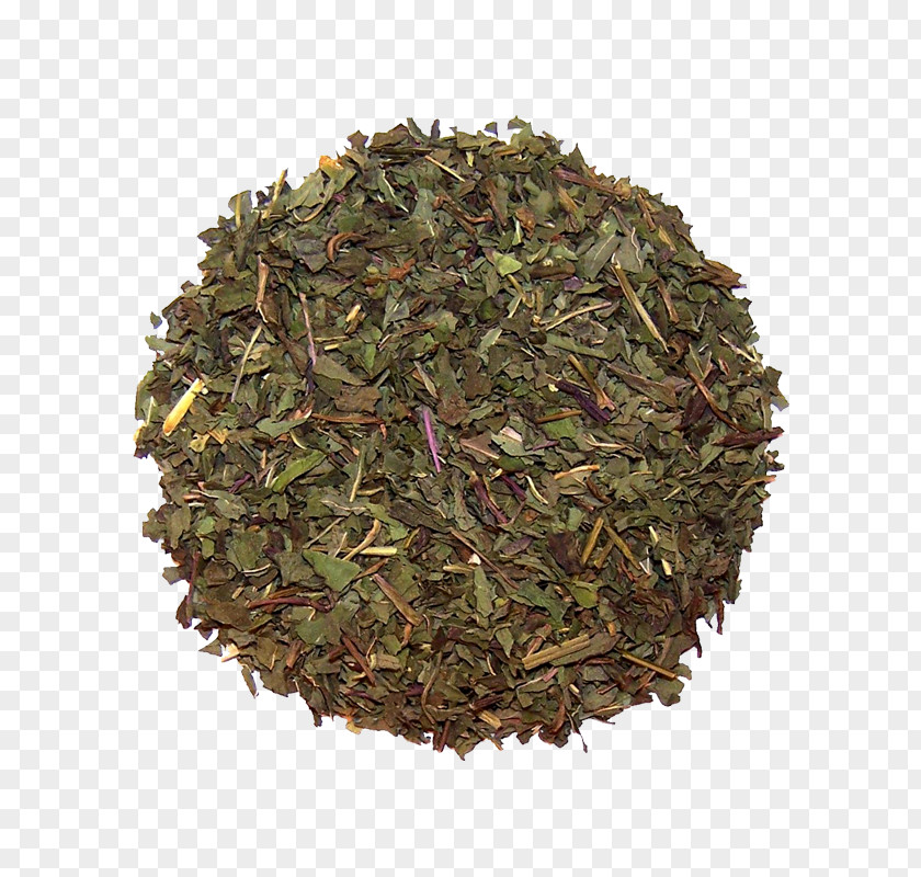 Herbal Tea Spice Za'atar Herb Celery Bobkový List Mletý PNG