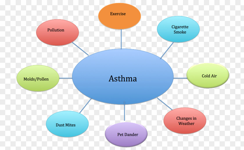 Patton Asthma Symptom Therapy Inflammation Pharmacy PNG