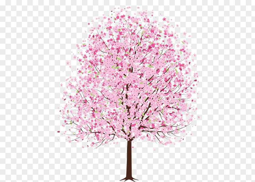 Pink Peach Tree Cherry Blossom Clip Art PNG