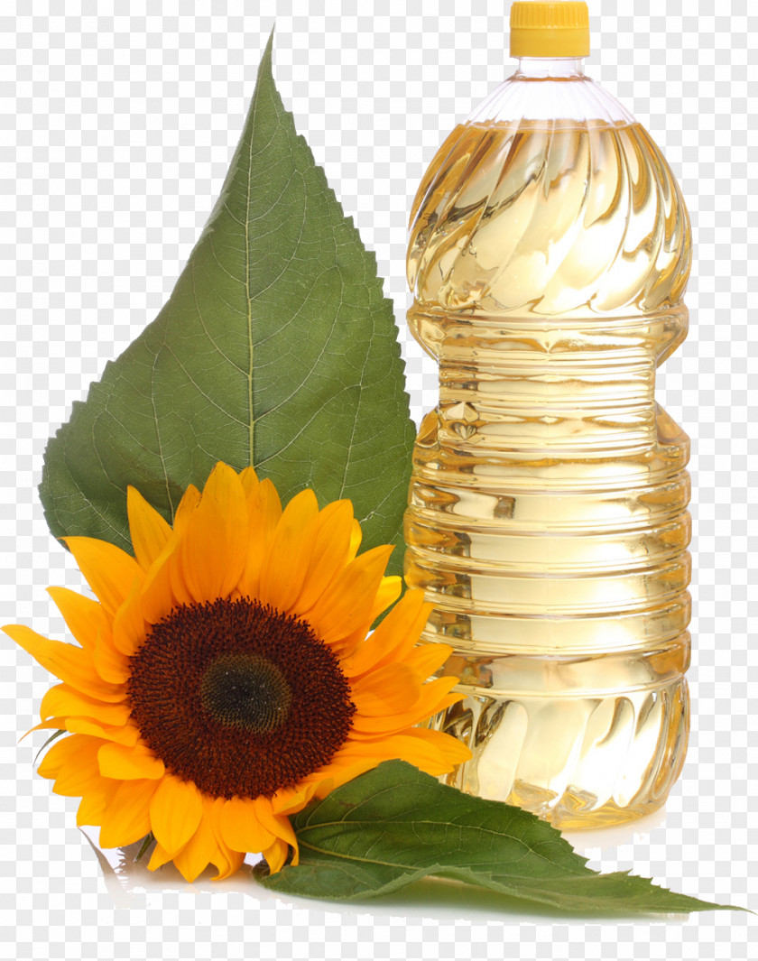 Sunflower Oil Common Vegetable Seed PNG