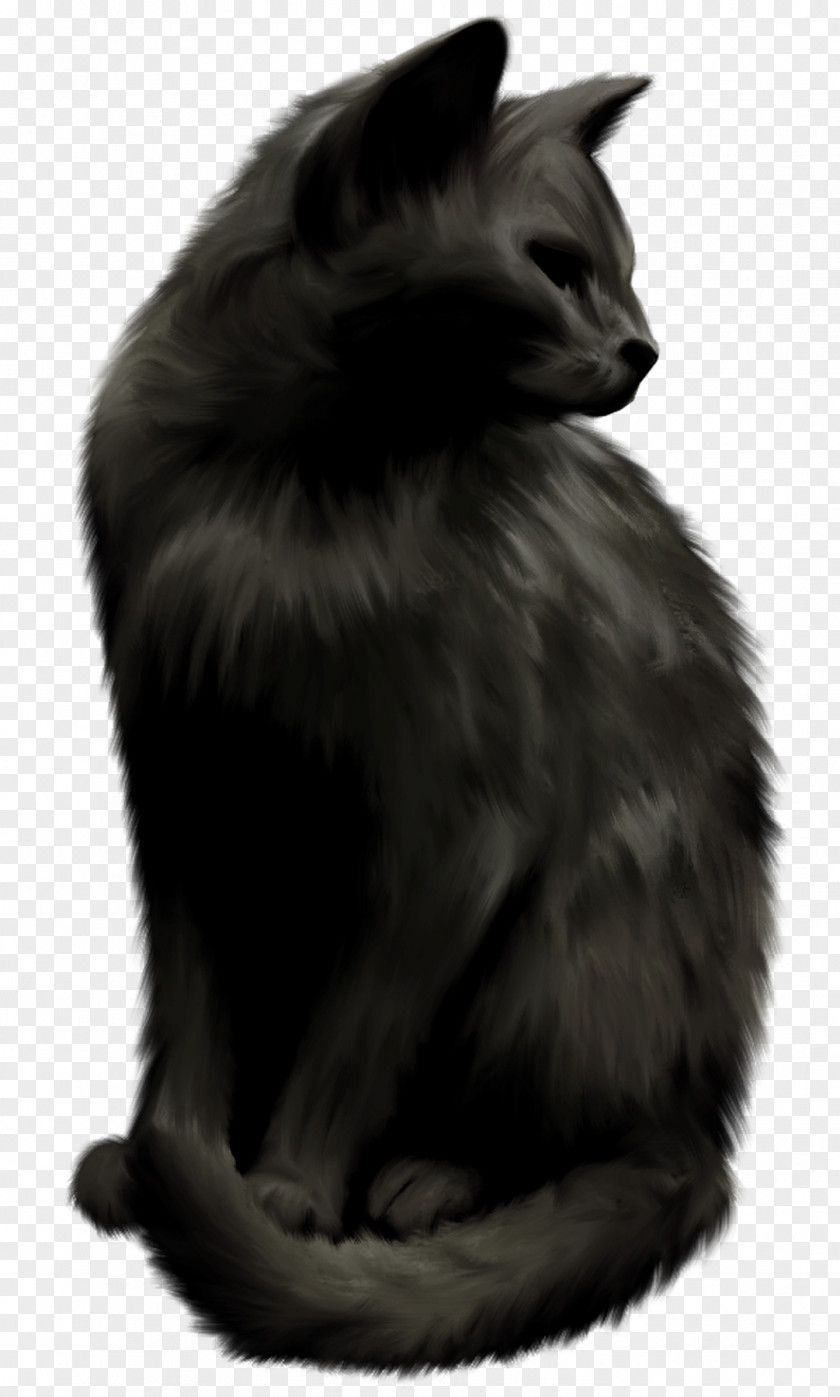 Witch Cat Norwegian Forest Nebelung Black Whiskers PNG