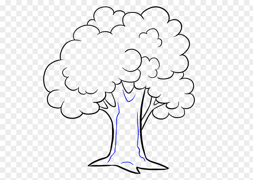 Drawing Cartoon Draw Trees Clip Art PNG