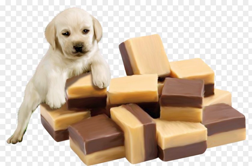 Puppy Fudge Liquorice Vanilla Chocolate PNG