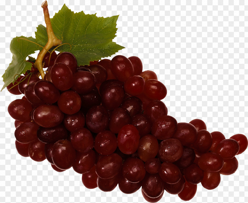 Red Grape Image Common Vine Fruit Clip Art PNG