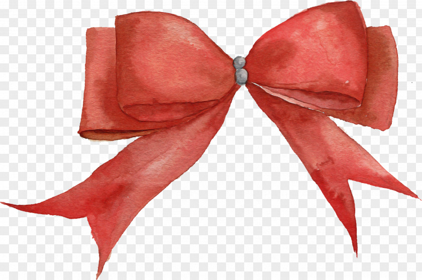 Red Ribbon Pink Carmine PNG