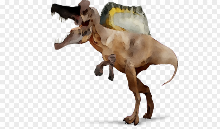Dog Breed Snout Dinosaur PNG