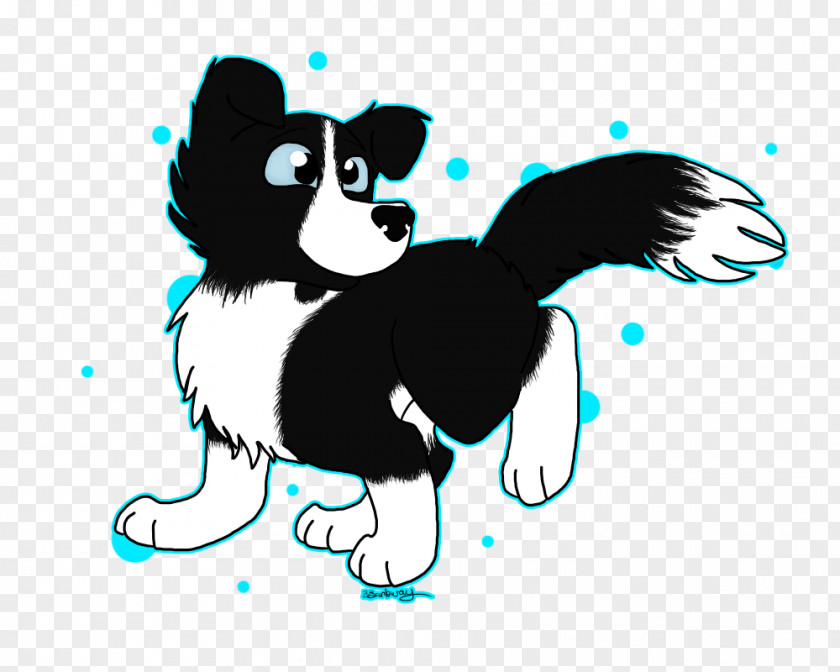 Puppy Border Collie Whiskers Rough Dog Breed PNG