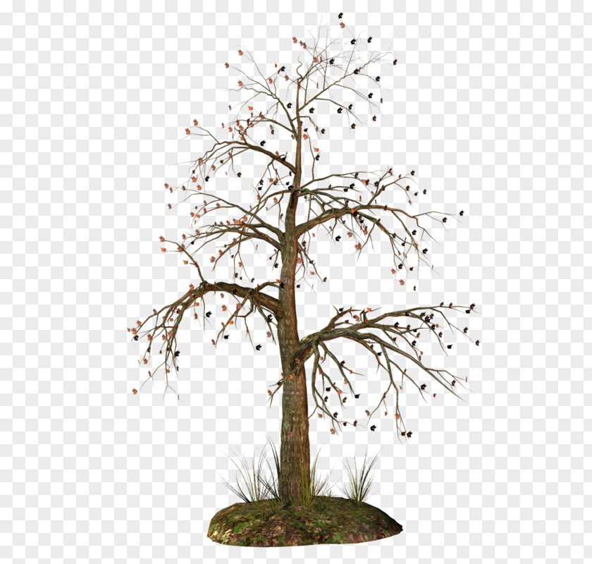 Tree Clip Art Trunk Image PNG