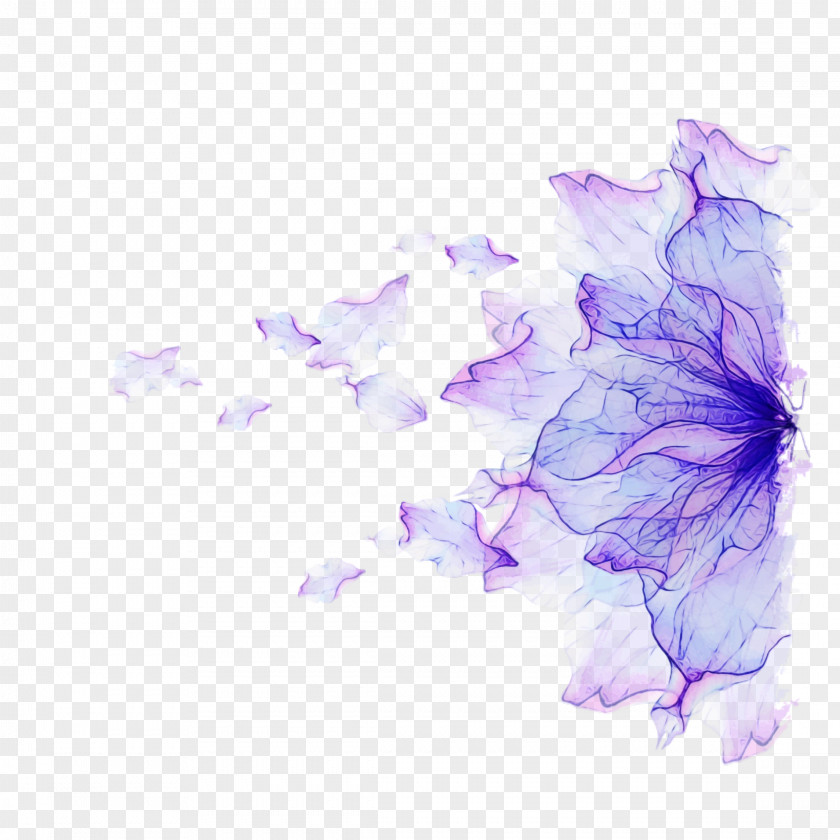 Lavender PNG