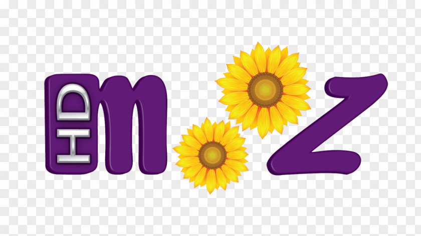 Vara Common Sunflower Mooz HD Dance Logo Transvaal Daisy PNG