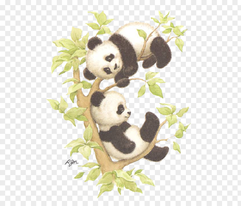 Bear Giant Panda Painting Embroidery Art PNG