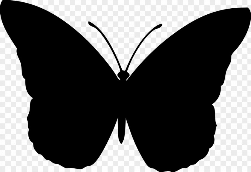 Butterfly Clip Art Vector Graphics Brush-footed Butterflies PNG