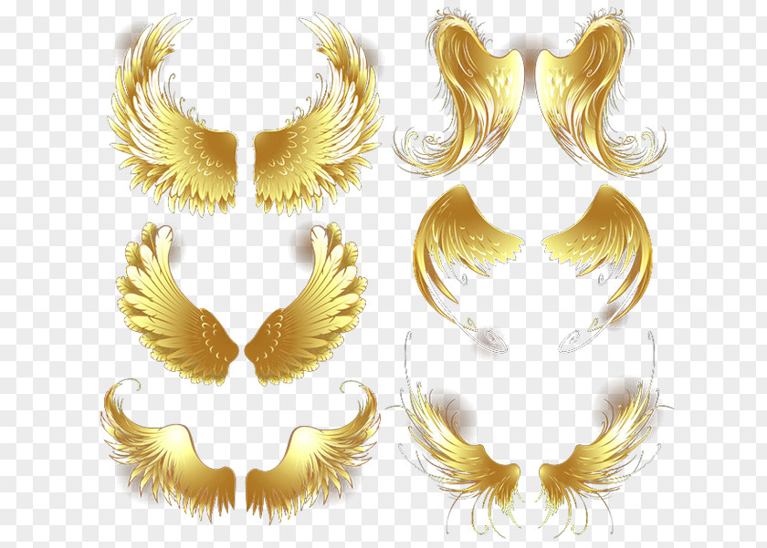 Gold Shining Wings Wing Download PNG