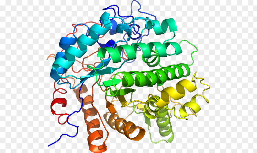 Streptococcus Mutans Enzyme Protein Mucizesi Chemical Reaction Cell PNG