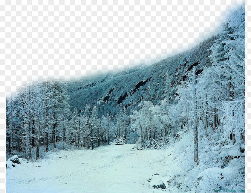 Woods Covered With Snow Green Mountains Burlington Mountain National Forest Terrain Body Of Water PNG