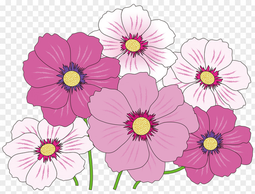 Cosmos Pink Flowers Clip Art PNG
