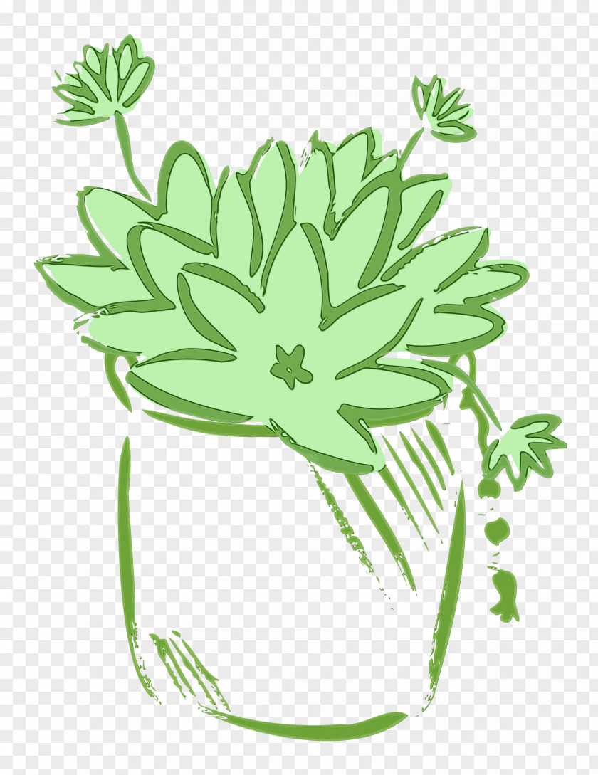 Floral Design PNG