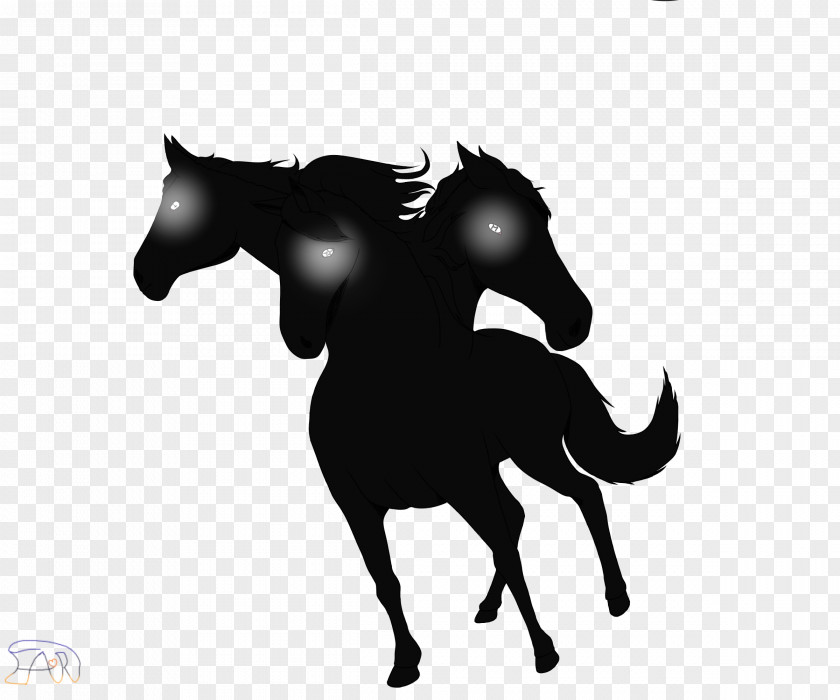 Mustang Stallion Colt Halter Mane PNG