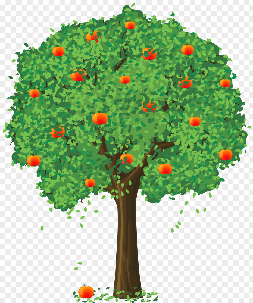 Painted Apple Tree Clipart Fruit Loose And Fancy Tangerine Lemon PNG