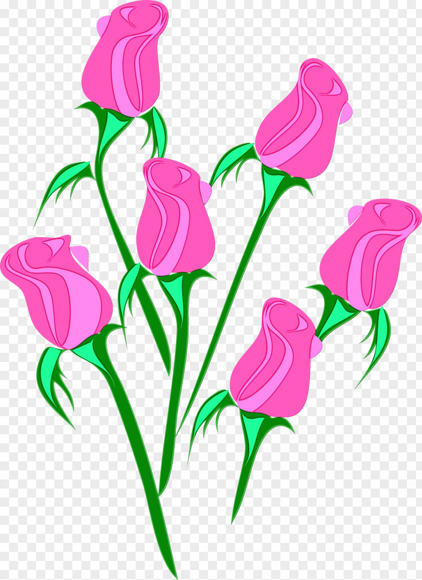 Plant Stem Petal Pink Flower Clip Art Cut Flowers Pedicel PNG