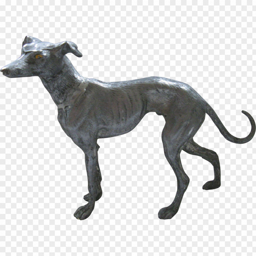 Spanish Greyhound Italian Whippet Sloughi PNG