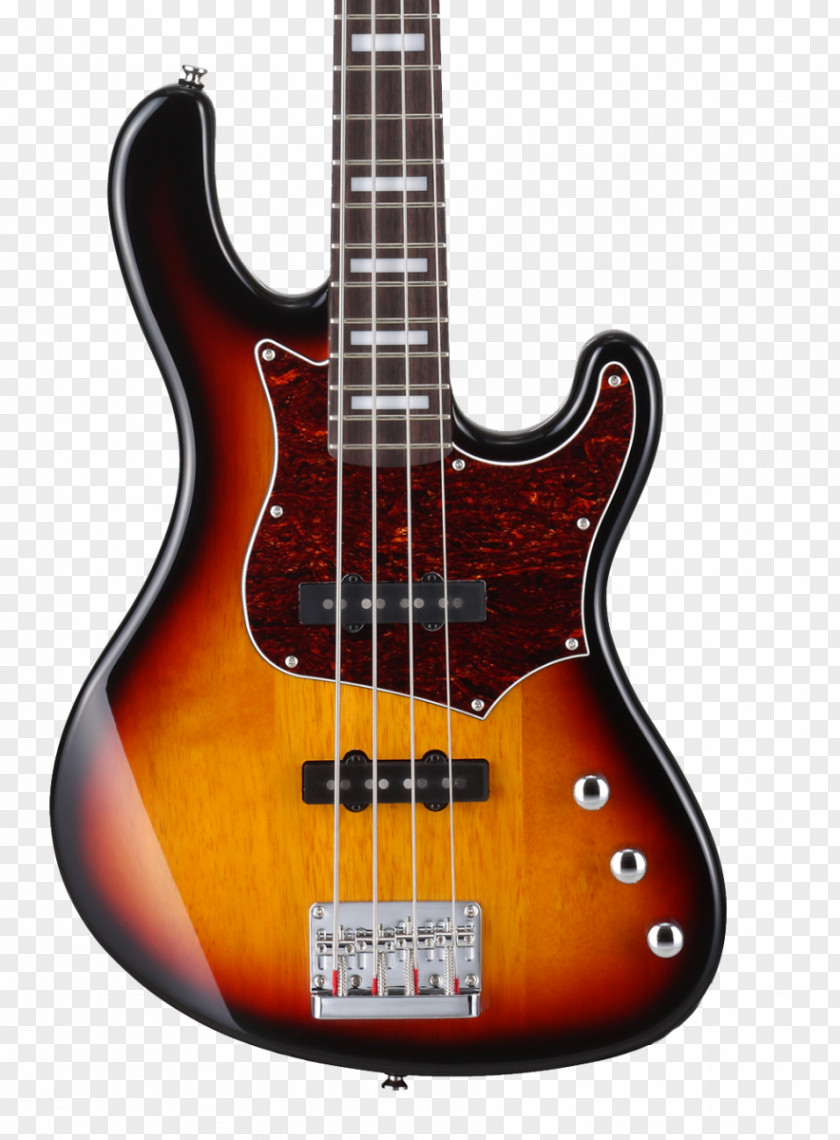 Bass Guitar Fender Precision Jazz Pickup PNG