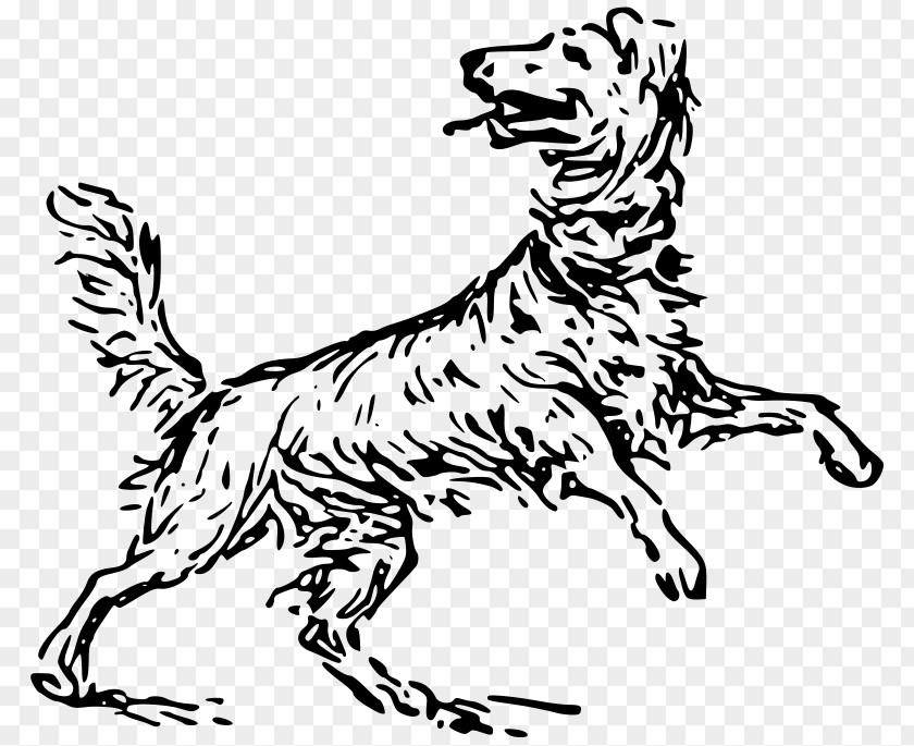 动物 Dog Breed Rottweiler Animal Drawing Mammal PNG