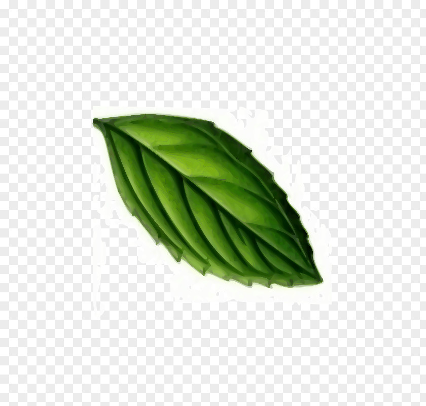Leaf Peppermint Clip Art Openclipart Mint PNG
