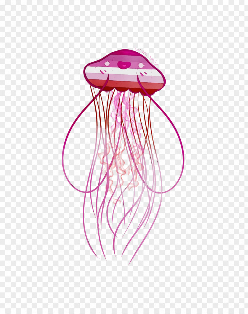Magenta Marine Invertebrates Jellyfish Pink Cnidaria PNG