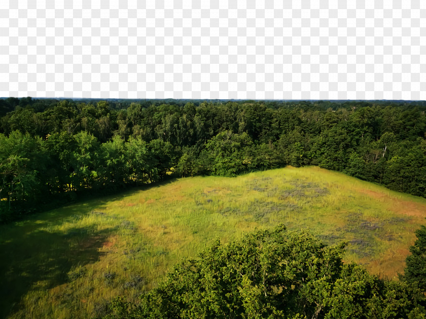 Shrubland Vegetation Temperate Broadleaf And Mixed Forests Biome Pasture PNG