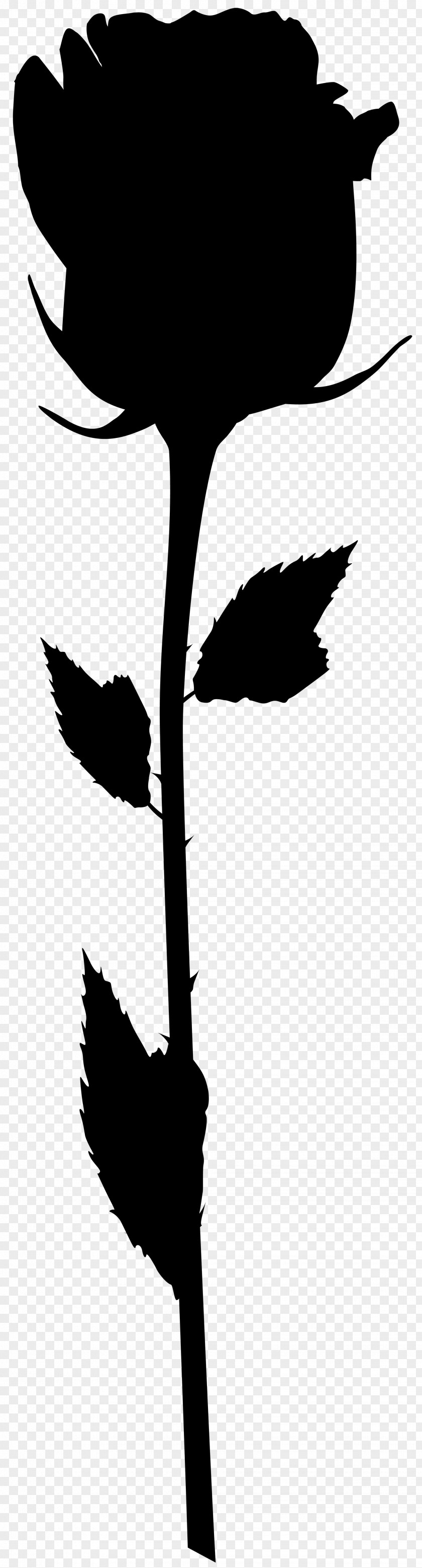 Bird Flower Clip Art Plant Stem Leaf PNG