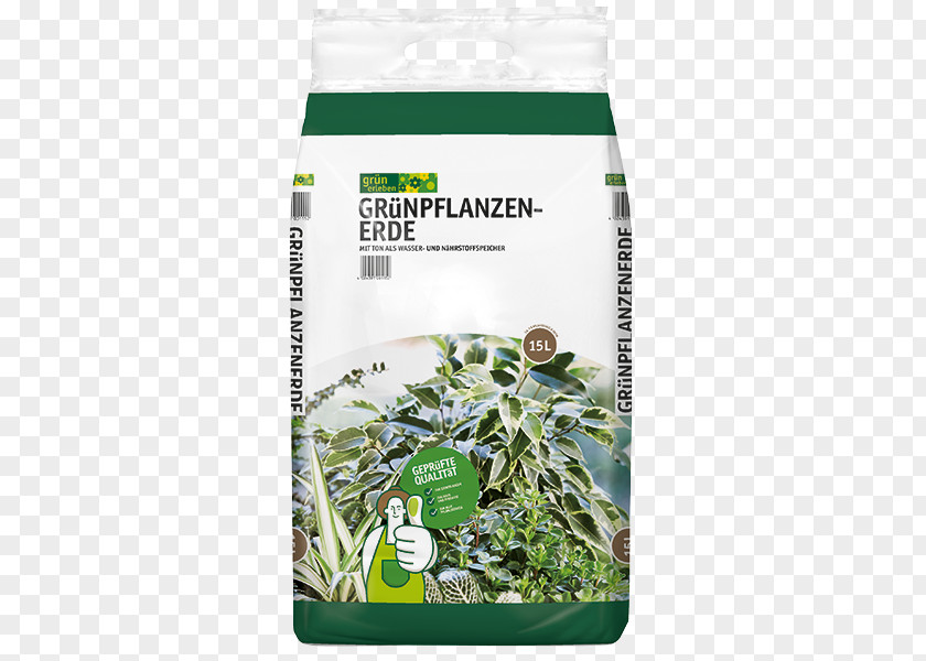 Lies Horticulture Rülcker GmbH Gartencenter Bachmann Sauter Green Experience & Co. KG Bazle Beier PNG