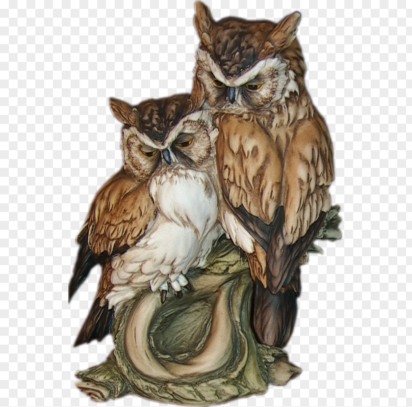Owl Bird Symbol Animal Information PNG