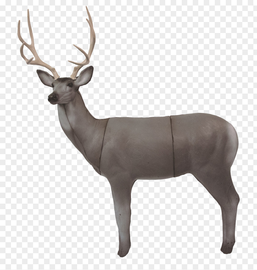 Reindeer Elk Archery White-tailed Deer R & W Targets PNG