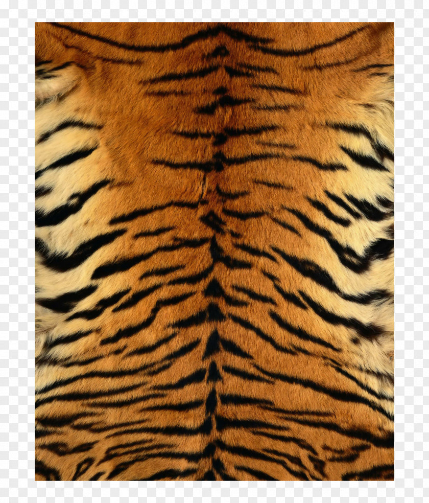 Tiger Skin Texture Map Tigerfell IPhone 7 PNG