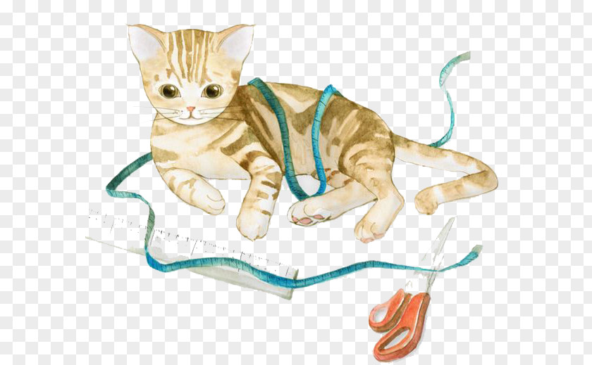 Watercolor Cat Kitten Whiskers Watercolor: Flowers Watercolour PNG