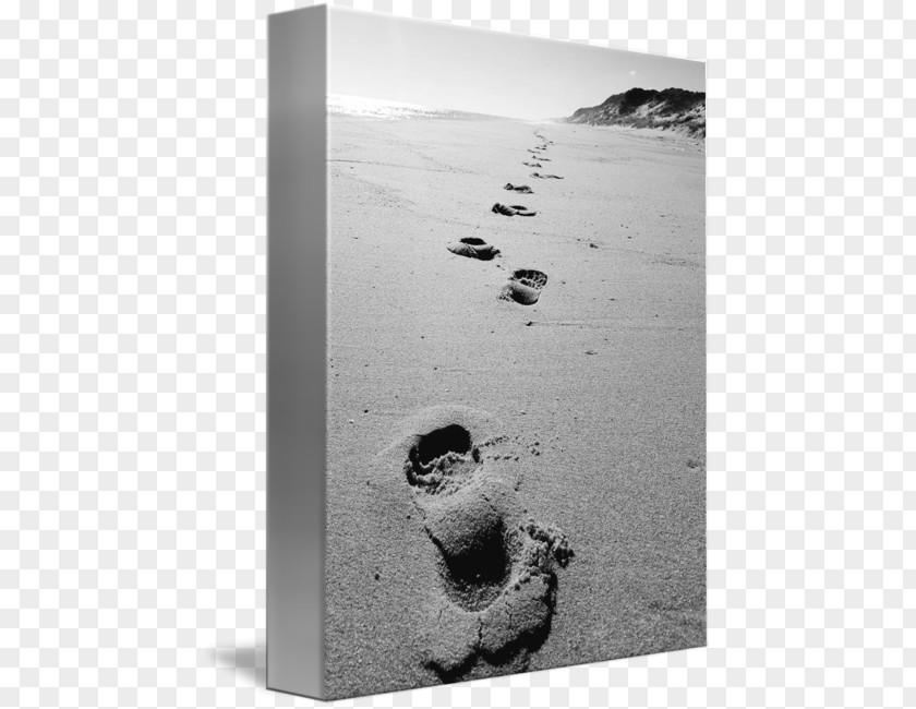 Beach Footprints White PNG