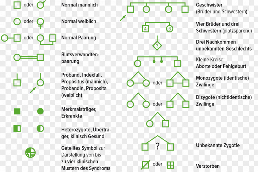 Familie Symbol Genealogy Family Tree Document Diagram PNG